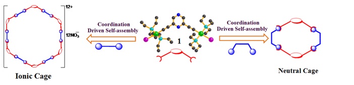 pyrazine-derivatives1.jpg